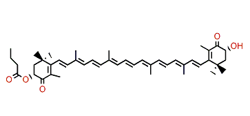 (3R,3'R)-Dihydroxy-beta,beta-carotene-4,4'-dione 3-ester